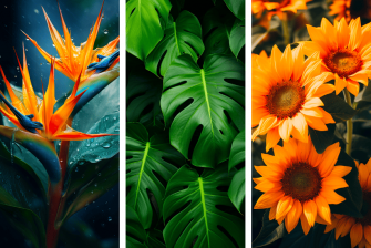 Flowers Plants iPhone Wallpaper To Use