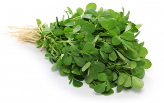 Fenugreek Facts Health Benefits And Nutritional Value Wallpaper