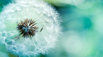 Part Of Me Best Wallpaper Ever On My Desktop Click For Original Size