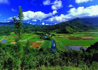 Hawaiian Island Islands Hawaii
