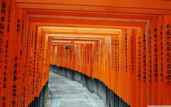 Fushimi Inari Taisha Kyoto Japan 4k HD Desktop Wallpaper For