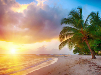 Caribbean Beach Wallpaper