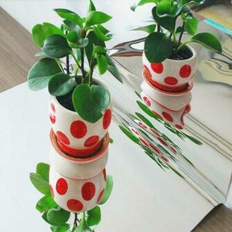 Contact Paper Promotion Online Shopping For Promotional Window