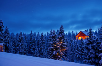 Christmas Nature Wallpaper