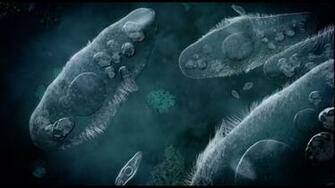 Bacteria Wallpaper