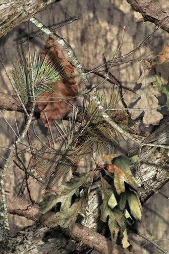 Im Mossy Oak Desktop Wallpaper Picserio
