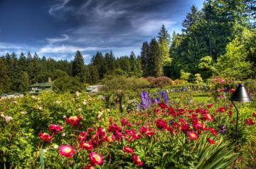 Butchart Victoria Canada Computer Wallpaper Desktop