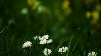 Gorgeous Wallpaper For Galaxy Note 2seize Design