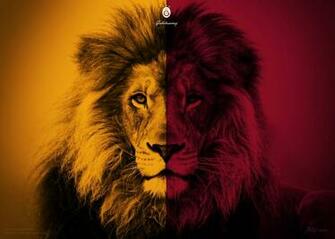 Aslan Wallpaper