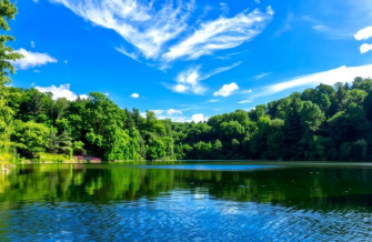 Windows Wallpaper