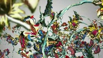 Rosabotanica De Balenciaga Le Parfum Pineux We Love