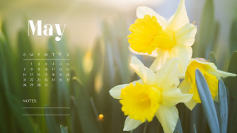 And Customizable Nature Desktop Wallpaper Templates