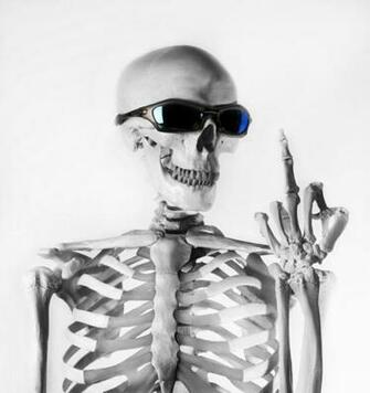 Bad To The Bone By Gizmotb