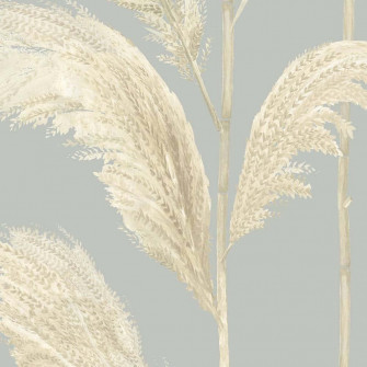 Pampas Grass Background Fvy3drbqs8zwpq6y Wallpaper