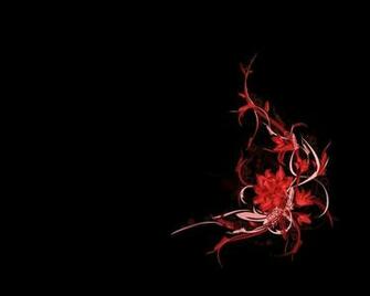 Red Flower Black Background