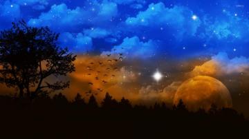 Night Sky Wallpaper Fantasy