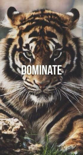 Motivational Quotes About Life And Happiness Sayings With