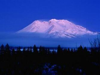 California Desktop Wallpaper Auchland Bird Island