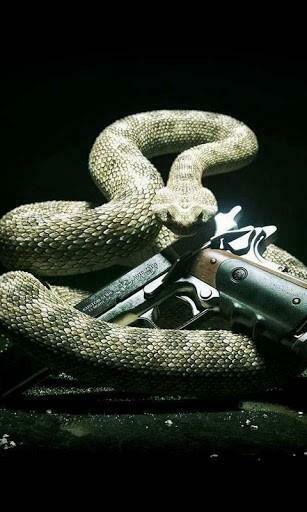Bigger Snakes HD Live Wallpaper For Android Screenshot
