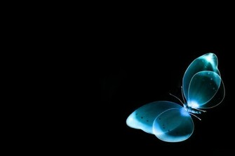 Abstract Butterfly Wallpaper