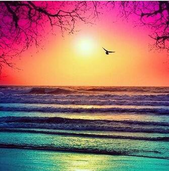 Ocean Sunset Quotes