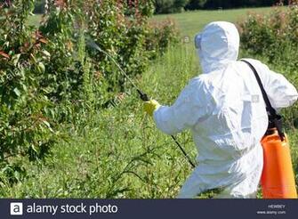 Best People Are Spraying Insecticides On Trees Wallpaper Image