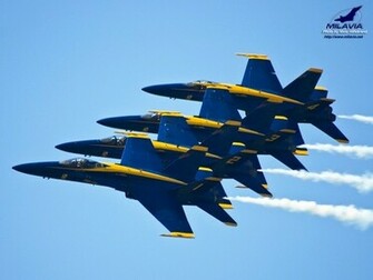 Blue Angels U S At The Royal Netherlands Air Force