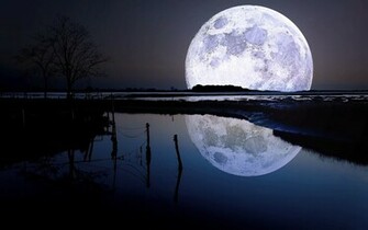 Home Waters A Fly Fishing Life Full Moon