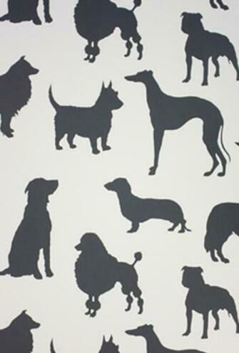 Best In Show Wallpaper Thibaut Image Thecelebritypix