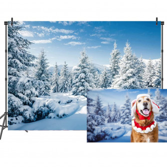 Amazon Csfoto Winter Scene Photo Backdrop