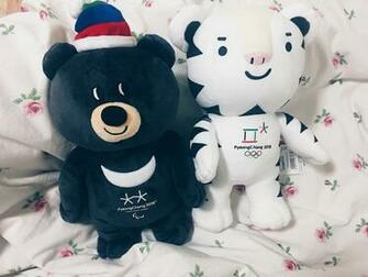 Hipsterkoala Pyeongchang Winter Olympics