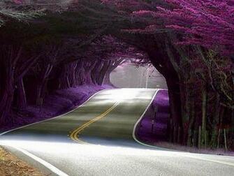 Alpha Coders Man Made Road