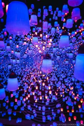 Teamlab Borderless At Mori Building Digital Art Museum Nippon