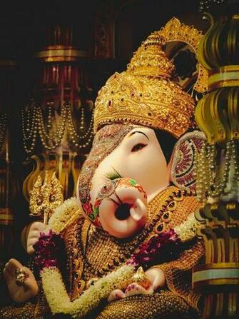 Indian Elephant Pictures Image Stock