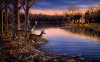 Deer Desktop Wallpaper