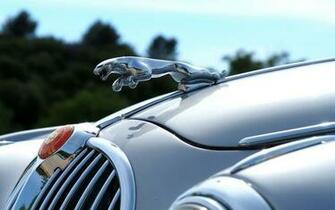 Jaguar Car Logo Wallpaper Cars