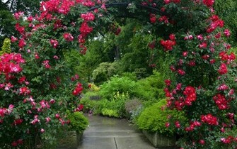 Garden Computer Wallpaper Desktop Background Id