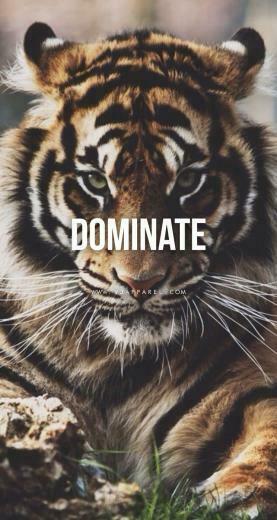 Join Me In An Adventure That Could Change Your Life Message Or