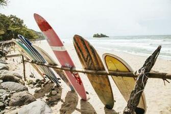 Surfboard Pictures Hq Image