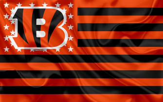 Cincinnati Bengals Picture Wallpaper