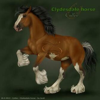 Clydesdale Horse Wallpaper Cullen The