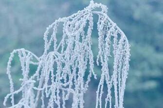 Frozen Stock Photo Public Domain Pictures