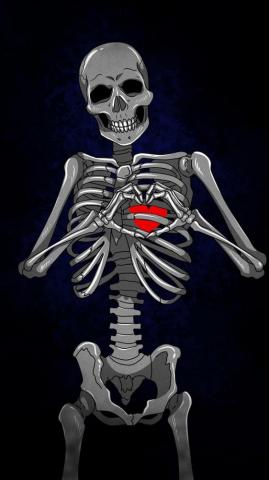 Skeleton Wallpaper For Phone Best
