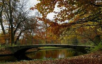 Youwall Autumn Lake Wallpaper
