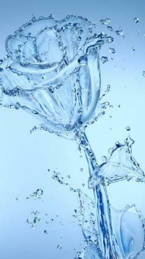 Water Flowers iPhone 5s Wallpaper iPad