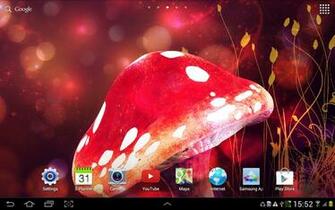 Magic Mushrooms Wallpaper Mushroom Live