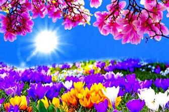 Background Image Windows Mac Wallpaper Amazing