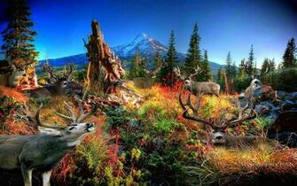 Legendary Mule Deer Wallpaper