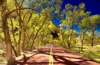 Wallpaper Zion National Park Utah Road Trees Desktop