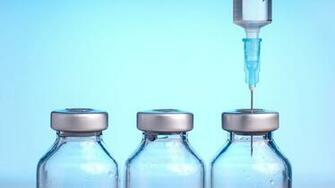 Essential Adult Vaccines Bmmguru
